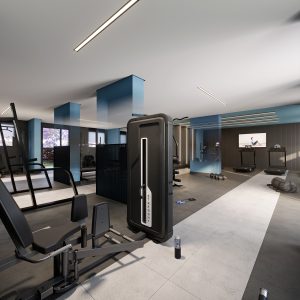 Alceu_Fitness_Final_2k