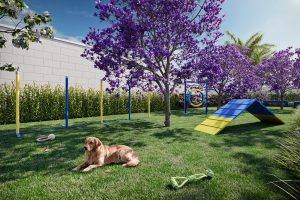 Alceu_Petplace_Final_2k